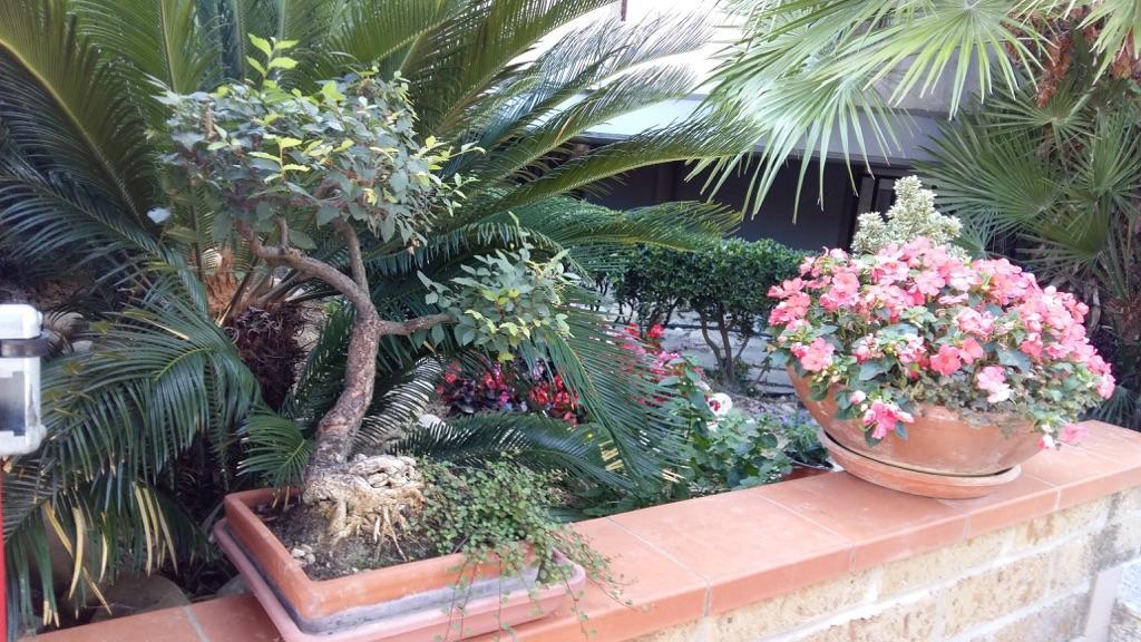 B&B Mirella Citta Sant'Angelo Zewnętrze zdjęcie